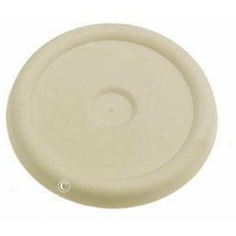 Bouchon supérieur de cuve d'origine (481246278998) Lave-vaisselle BAUKNECHT, BRANDT, IGNIS, IKEA, IKEA WHIRLPOOL, LADEN, RADIOLA, SMEG, WHIRLPOOL