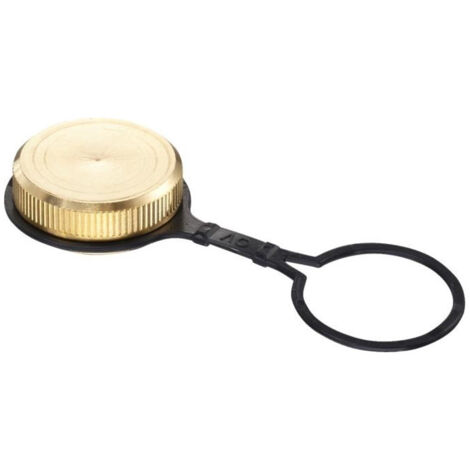 BOUCHONavec JOINT PLAT ET ANNEAU DE FIXATION DN10,1/2F