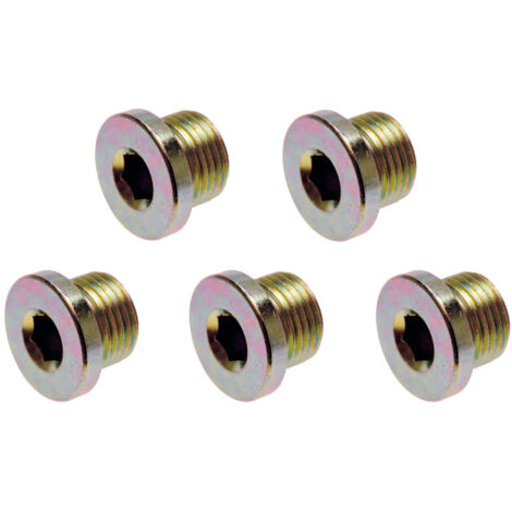 Bouchons de vidange de 20x150 mm (5 pieces)