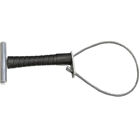 Boucle de cochon courte