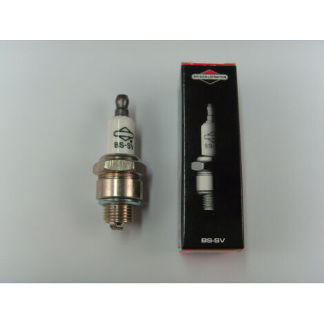 Bougie Champion tondeuse J19LM 240101 original Briggs 10 pièces en boîte