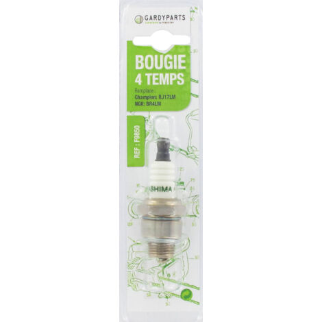 Bougie Equivalence Champion Rj17lm - Lr17a
