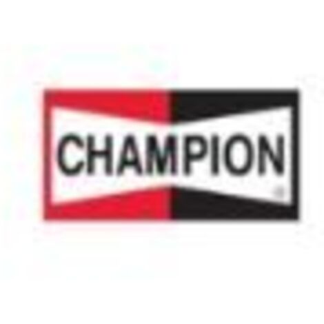 bougie - J17LM - Champion