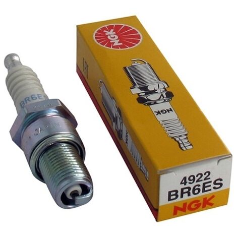 Bougie Ngk Br6es