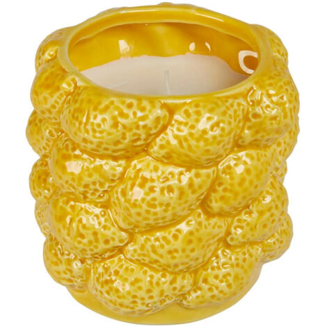 Bougie Parfumée Citron en Céramique "Yucatan" 330g Agrumes