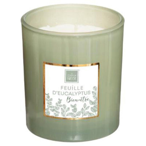 Bougie Parfumée "Mael" 190g Feuille d'Eucalyptus