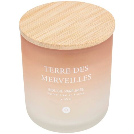 Bougie parfumée Sana 255g pot verre Terre des Merveilles - Atmosphera créateur d'intérieur