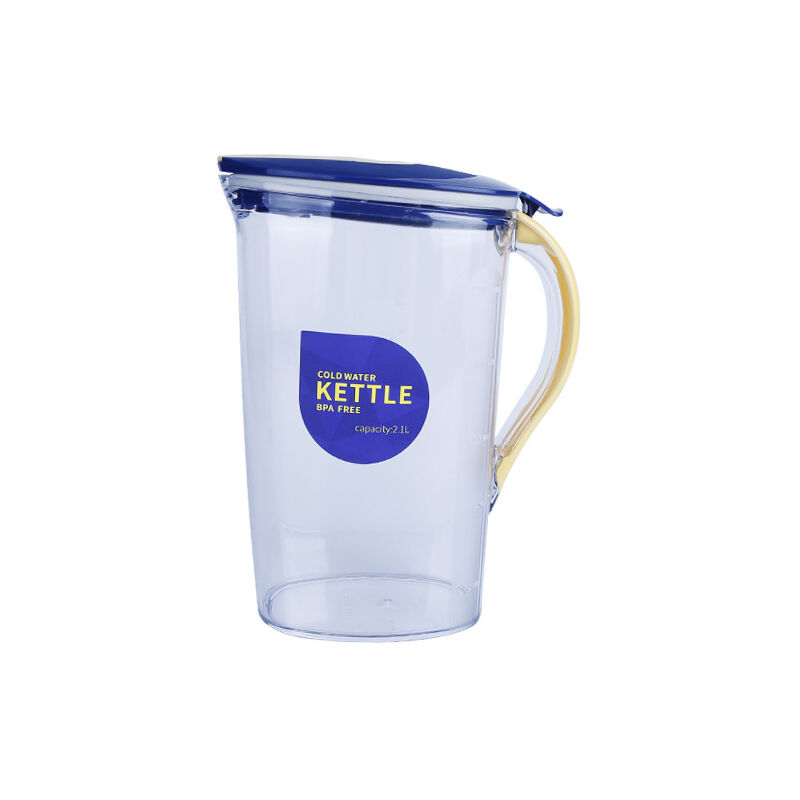 Bouilloire à café à extraction à froid, réfrigérateur, thés aux fruits, tasse d'eau froide, bouilloire à eau froide portable avec filtre fin, café