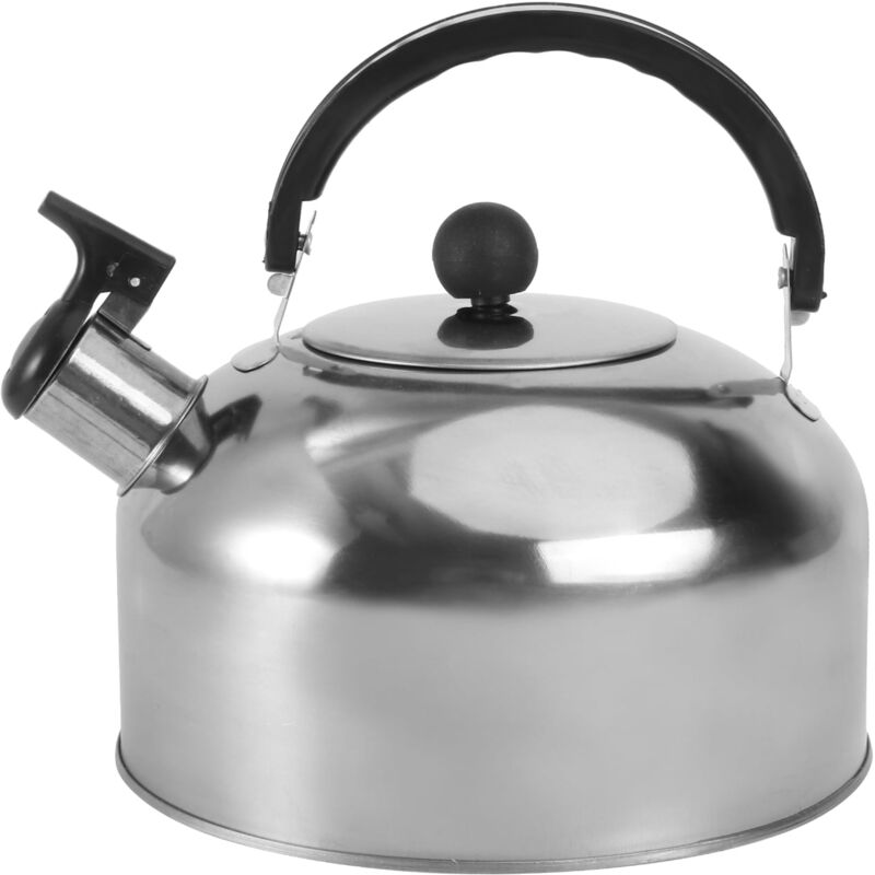 Bouilloire à eau en acier inoxydable à fond plat pour cuisinière à induction (environ 2 l)