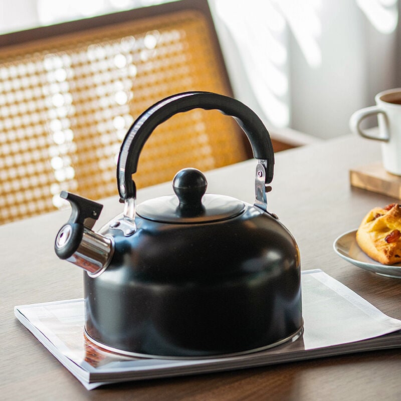 Bouilloire à gaz sifflante 3L