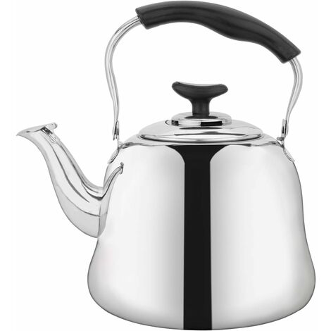 Bouilloire à thé en acier inoxydable de 2 litres avec passoire, théière sifflante pour bouilloire à thé avec poignée froide