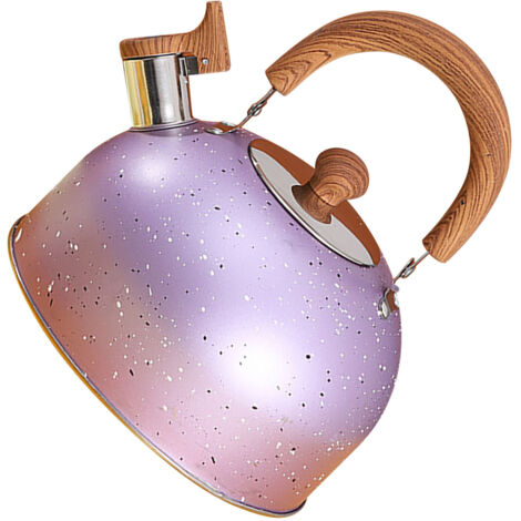 Bouilloire Bouilloire Whistle 2L Capacité Grand Fond Plat Induction Gaz Stainless Steel Purple