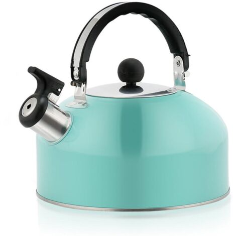 Bouilloire Camping Inox 3L Sifflet Léger pour Randonnée Cuisine Barbecue Voyage