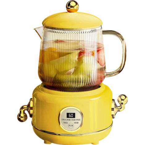 Bouilloire Électrique Multifonction en Acier Inox et Verre pour Maison et Bureau 220V