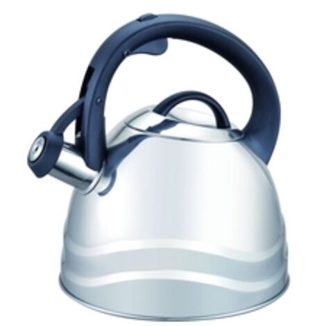 Bouilloire en acier inoxydable de 2,3 l