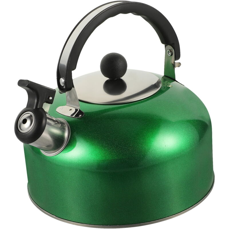 Feiyue - Bouilloire en acier inoxydable pour la maison (3 l)