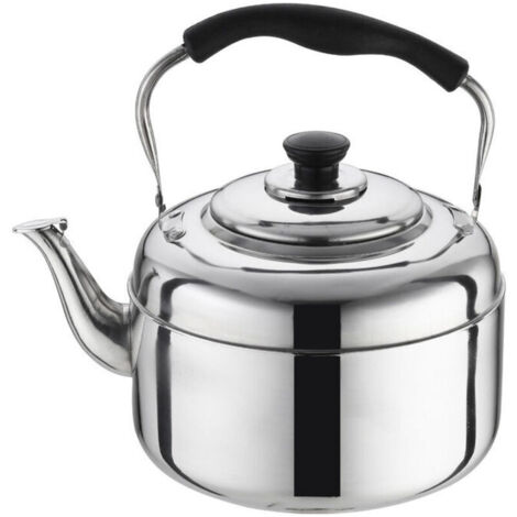 Bouilloire Gaz 2 Litres Inox Poignée Anti Chaleur Théière pour Cuisinière