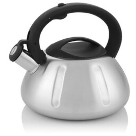 Bouilloire George Line Florina 2,6 l - acier inoxydable, sifflet
