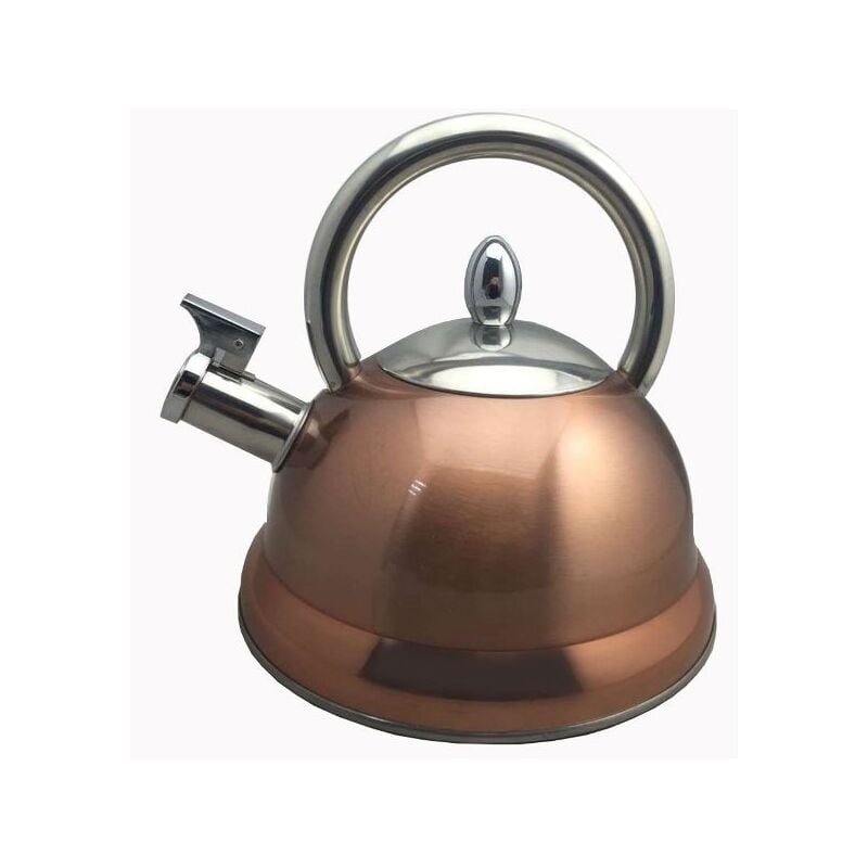 Baumalu - bouilloire inox coloris cuivre 3L a sifflet