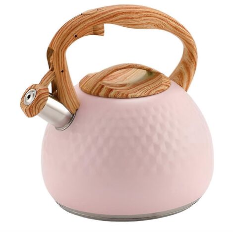 Bouilloire sifflante 3L avec couvercle et poignée B