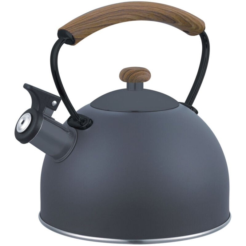 Bouilloire Sifflante Brunbeste 2,5 L 2461 Grise