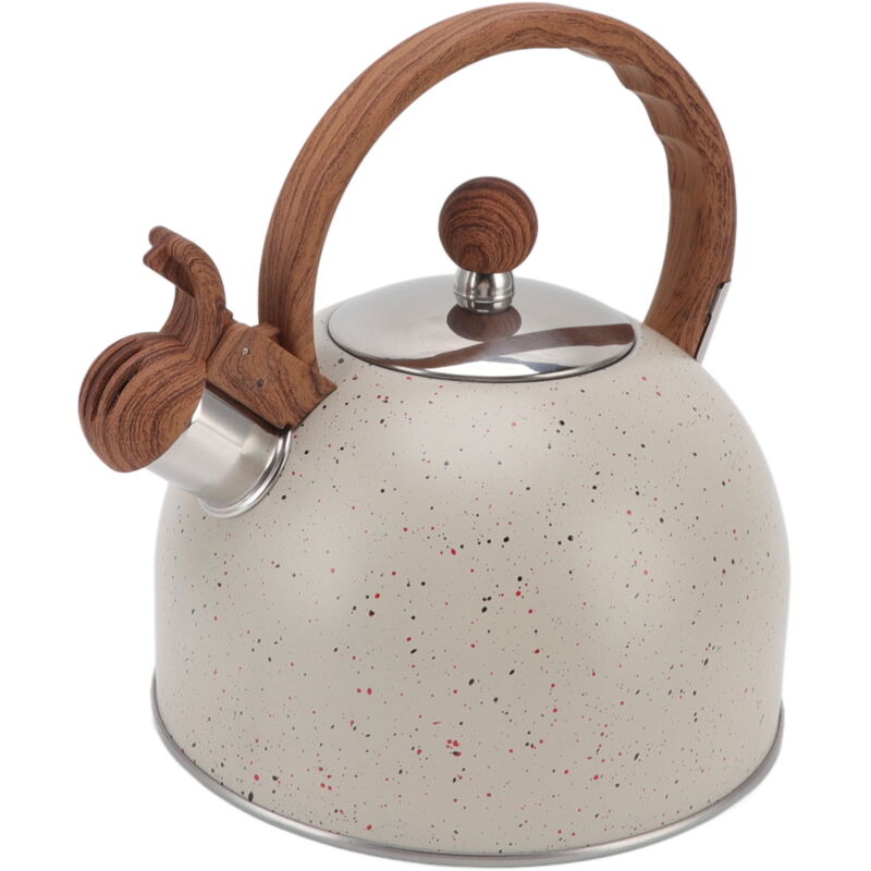 Bouilloire sifflante d'une capacité de 2,5 l en acier inoxydable pour faire bouillir de l'eau