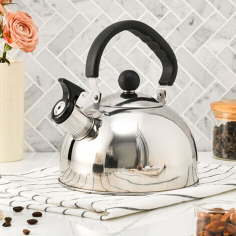 Bouilloire Sifflante Inox 2.5L Pour Induction, Poignée Résistante À La Chaleur Pour Cuisinière et Gaz - De Camping Pour Eau Bouillante