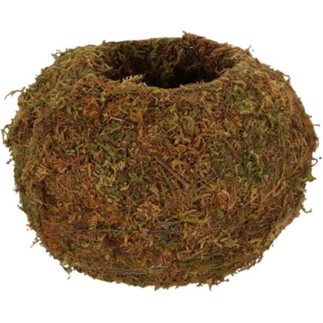Boule de mousse Kokedama M - Marron - D 14,5 x H 9,8 cm - Livraison gratuite