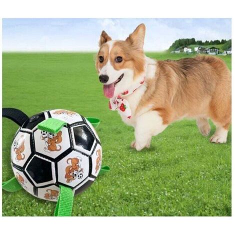 Boule indestructible pour chien boule indestructible pour chien boule interactive pour chien jouant à l'intérieur et à l'extérieur, envoyant une pompe à air, (version noire) bande dessinée verte