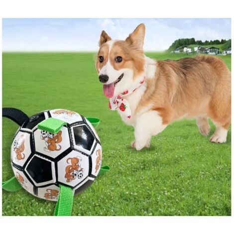 Boule indestructible pour chien boule indestructible pour chien boule interactive pour chien jouant à l'intérieur et à l'extérieur, envoyant une pompe à air, (version noire) bande dessinée verte