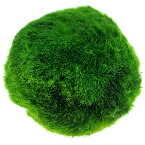 Boules d'Algues pour Aquarium Décoration Paysagère - Diamètre 4-5cm Après Imbibition - Idéal pour Aquariophilie -AUTRES