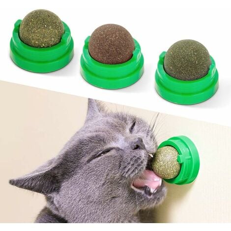 Boules d'herbe à chat, jouet de chaton comestible pour le léchage de chat, jouet de construction de chaton sain et sr, jouet de chat de dent de nettoyage des dents