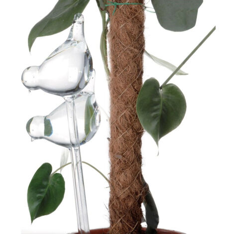boules d'irrigation en verre pour arroser les plantes et les fleurs en pot