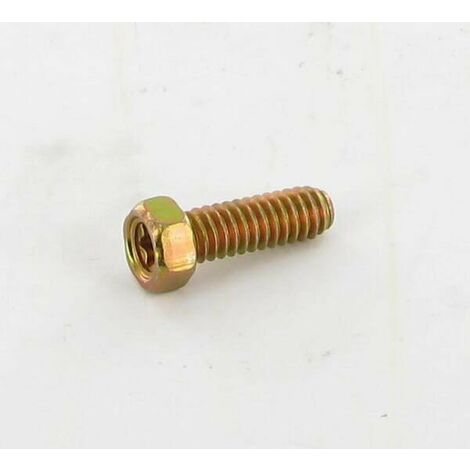 Boulon BRIGGS ET STRATTON 690953