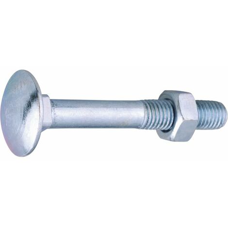 Boulon Japy - Viswood - Tête ronde collet carré - TRCC - Acier zingué - 8 x 40/22 mm - Boîte de 100