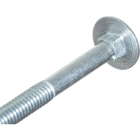 Boulon TRCC galvanisé M10 x 30 mm - 200 pièces
