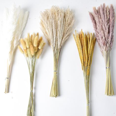 Bouquet de 120 brins d'herbe de la pampa séchée de 42,5 cm, idéal pour la décoration intérieure, les mariages et le style bohème.