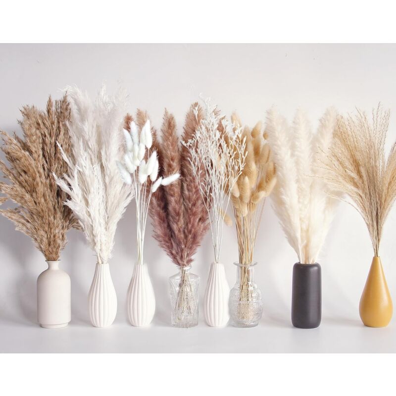 Bouquet de 128 pièces de Pampas séchées, décoration de Table bohème, Fleurs séchées de Queue de Lapin, Pampas Bruns, Pampas Blancs pour Mariages,