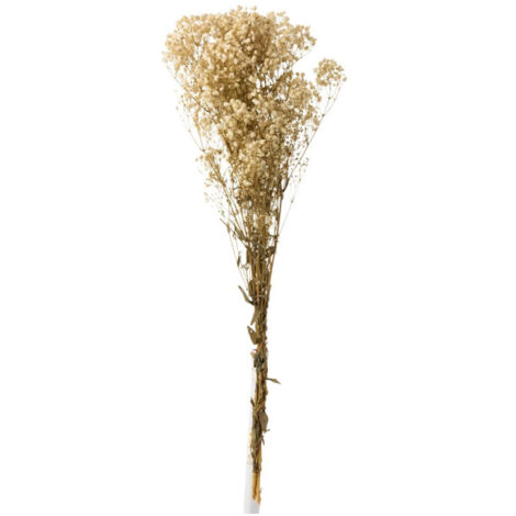 Bouquet de Fleurs "Gypsophile Séché" 84cm Écru