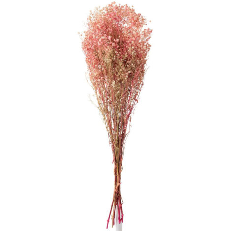 Bouquet de Fleurs "Gypsophile Séché" 84cm Rose