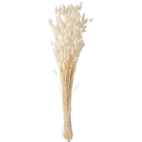 Bouquet de Fleurs "Queue de Lièvre" 86cm Écru