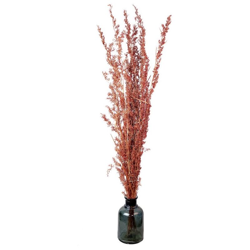 Bouquet de Fleurs Séchées 100 cm Botte de 100 gr Terracotta - Rouge