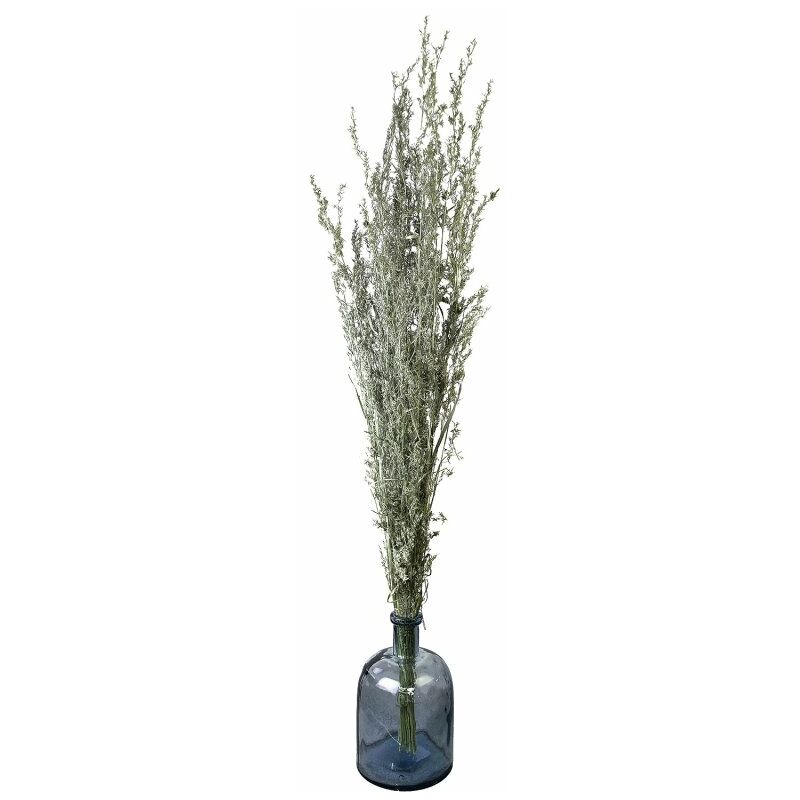 Rideaudiscount - Bouquet de Fleurs Séchées 100 cm Botte de 100 gr Vert - Vert