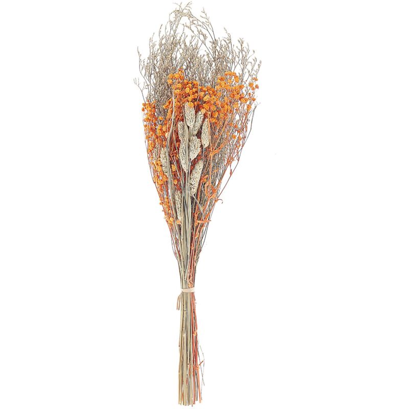 Beliani - Bouquet de Fleurs Séchées Décoratives Préservées 65 cm Orange Cercedilla