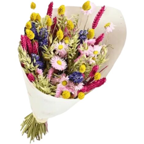 Bouquet de Fleurs séchées Dandy Mix couleurs 50 cm