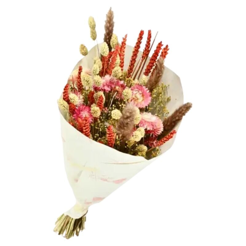 Naturalys - Bouquet de Fleurs séchées Dandy Rose Orange 50 cm
