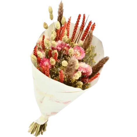 Bouquet de Fleurs séchées Dandy Rose Orange 50 cm