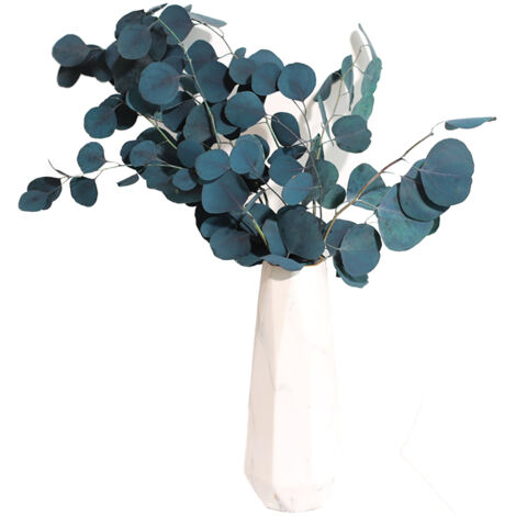 Bouquet de Fleurs Séchées Eucalyptus Décoratif pour Salon Durable