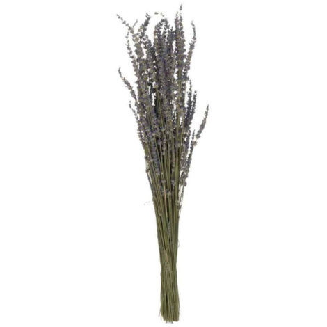 Bouquet de Fleurs Séchées "Lavande" 73cm Mauve