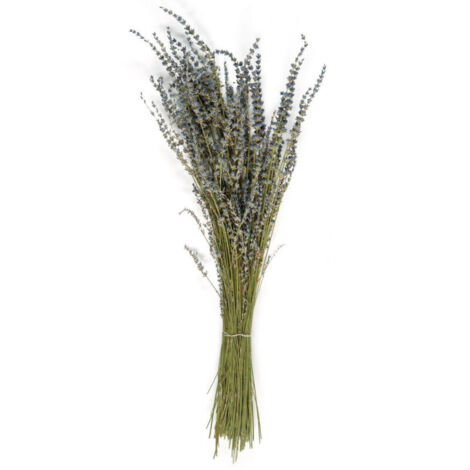 Bouquet de Fleurs Séchées - Lavandes